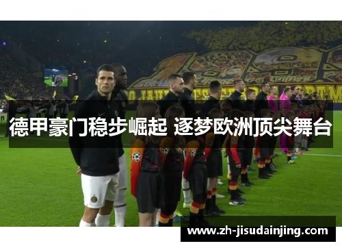 德甲豪门稳步崛起 逐梦欧洲顶尖舞台